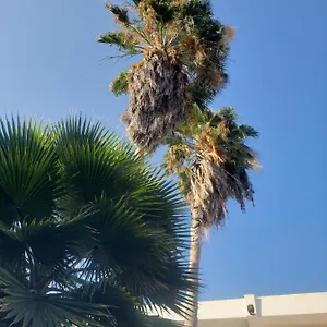 3* Frühstückspension Sea Shell Palms,